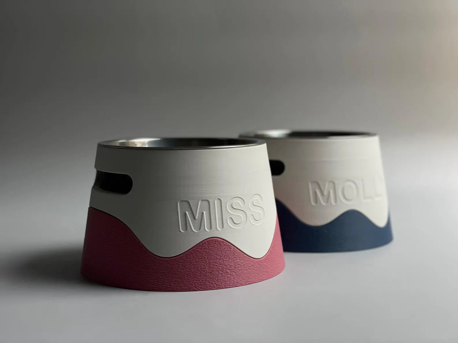 Bowl Dual- XS